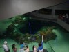 the-baltimore-aquarium-12
